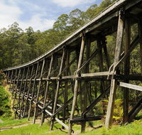 Noojee Trestle Bridge - Taree Accommodation
