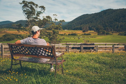 North - North East - Taree Accommodation 0