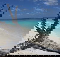 North West Island - Taree Accommodation