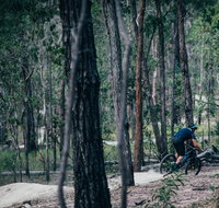 Old Tambo Downhill Mountain Bike Track - Taree Accommodation