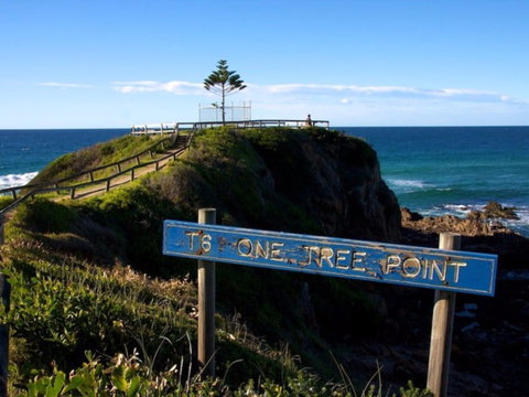 One Tree Point Lookout And Picnic Area - Taree Accommodation 0