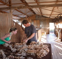 Peron Homestead - Taree Accommodation