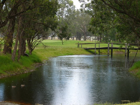 Pinjarra Golf Club - Taree Accommodation 2