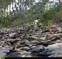 Rocksberg Park Heritage Reserve - Taree Accommodation