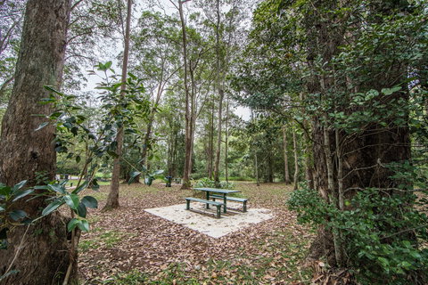Rocksberg Park Heritage Reserve - Taree Accommodation 1