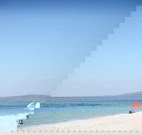 Rosebud and McCrae Bay Trail - Taree Accommodation