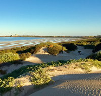 Shelly Beach Dune Walk Trail - Taree Accommodation