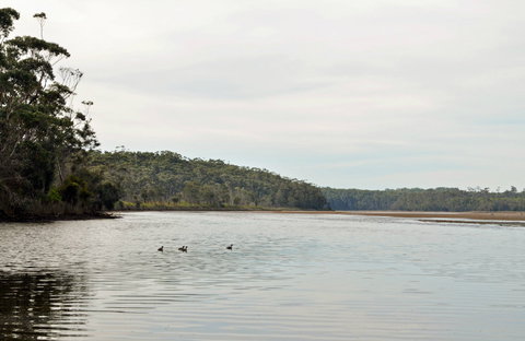 Tabourie Lake - Taree Accommodation 0