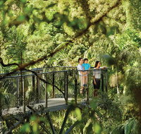 Tamborine Mountain - Taree Accommodation