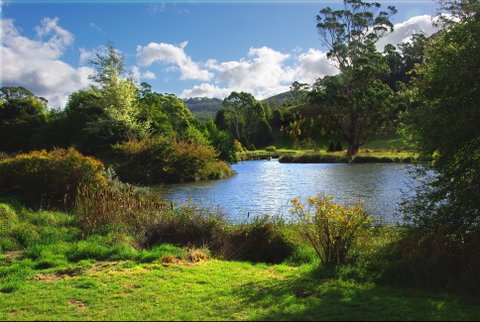 Tasmanian Arboretum Inc. - The - Taree Accommodation 0