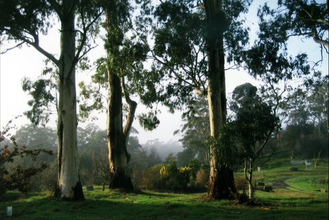 Tasmanian Arboretum Inc. - The - Taree Accommodation 1