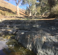 Three Creeks Station -Arkaroona Creek Walk - Taree Accommodation