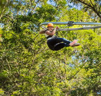TreeTop Crazy Rider - Taree Accommodation