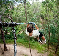 TreeTop Challenge - Taree Accommodation
