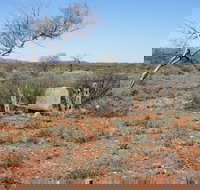 Winnecke Goldfield Cemetery - Taree Accommodation