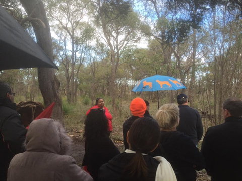 Bindjareb Cultural Park - Taree Accommodation 2
