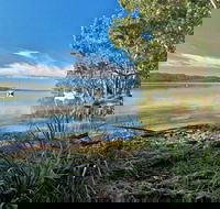 Black Oaks Picnic Area - Taree Accommodation