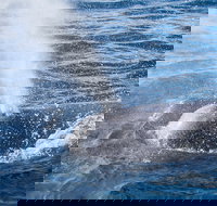 Bremer Bay Canyon - Taree Accommodation