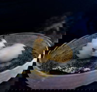 Bronwyn Clarke Ceramics - Taree Accommodation