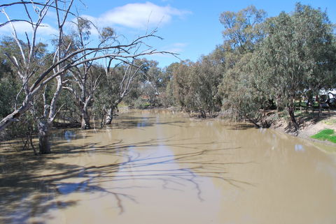 Bush Tucker Trail - Taree Accommodation 0