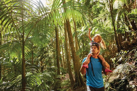 Canungra - Taree Accommodation 0