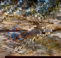 Cycle Mogo State Forest - Taree Accommodation
