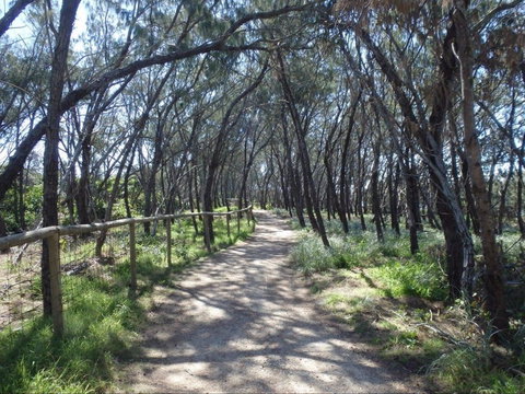 Federation Walk - Taree Accommodation 0
