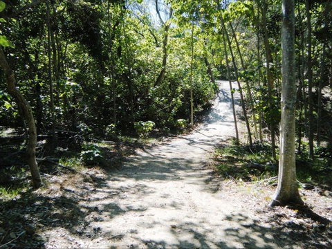 Federation Walk - Taree Accommodation 2