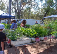 Fernvale Country Markets - Taree Accommodation