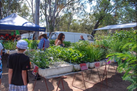 Fernvale Country Markets - Taree Accommodation 0