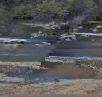 Georges Creek - Taree Accommodation