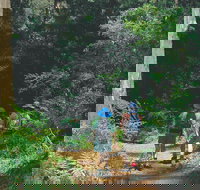 Gloucester National Park - Taree Accommodation