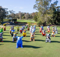 Hello Koalas Sculpture Trail - Taree Accommodation