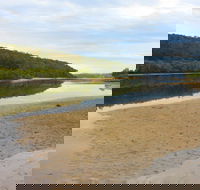 Mangrove Walk - Taree Accommodation
