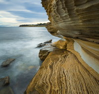 Maria Island - Taree Accommodation