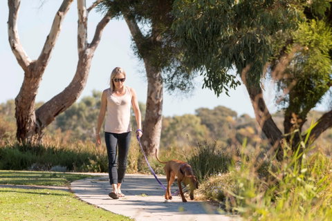 Meningie Walking And Cycling Trails - Taree Accommodation 0