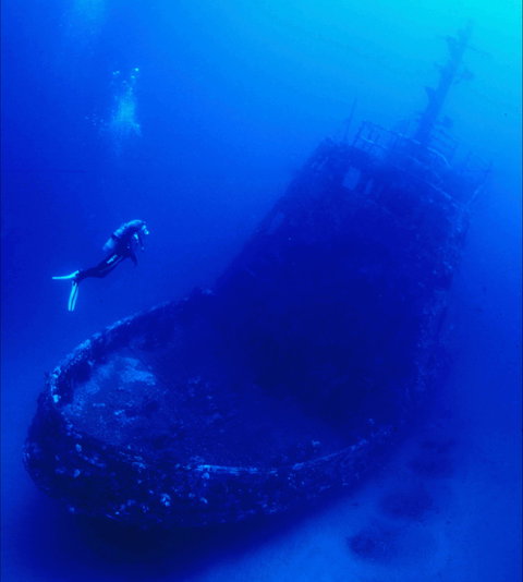 Merimbula Divers Lodge - Taree Accommodation 0