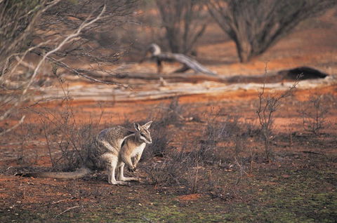 Mildura - Taree Accommodation 2