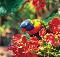 Mount Surprise - Taree Accommodation