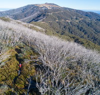 Mt Buller Bike Park - Taree Accommodation