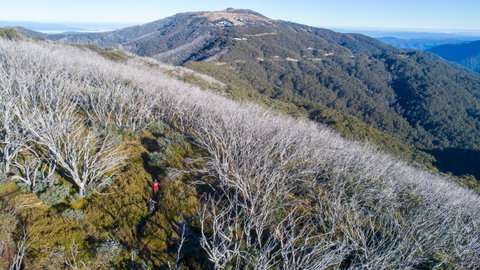 Mt Buller Bike Park - Taree Accommodation 0