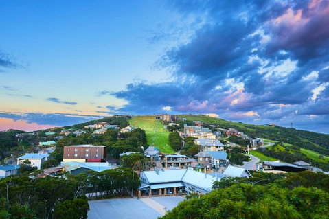 Mt Buller Bike Park - Taree Accommodation 2