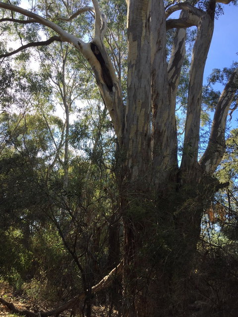 Northern Beaches - Taree Accommodation 0