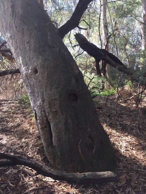 Northern Beaches - Taree Accommodation 1