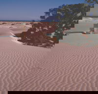 Nullarbor Plain - Taree Accommodation