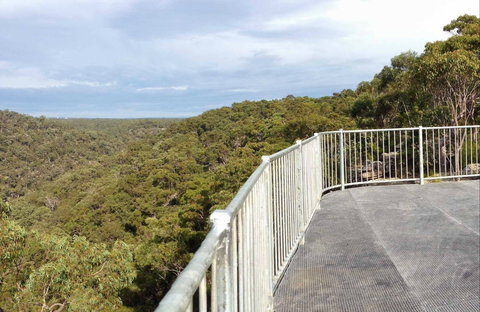 O'Hares Creek Lookout - Taree Accommodation 0