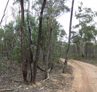 Paddys Ranges State Park - Taree Accommodation