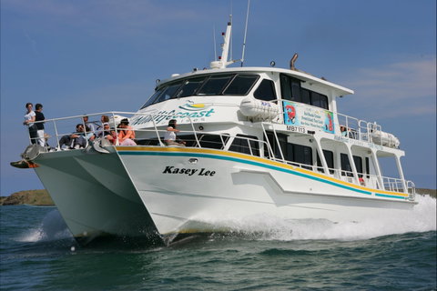 Phillip Island Experience - Taree Accommodation 2