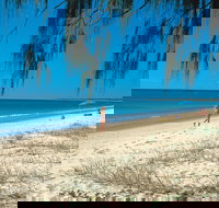 Woodgate Beach Park and Playground - Taree Accommodation