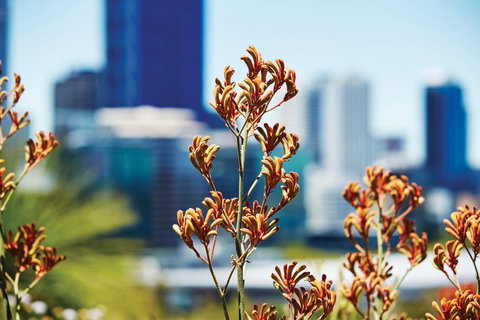 A Day In Perth - Taree Accommodation 1